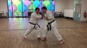 Image result for Kyomeikai Karate Club