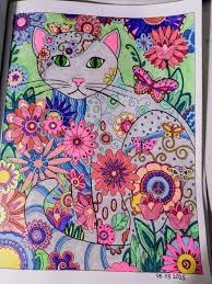 Image result for pheega