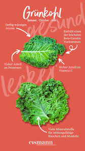 Image result for Grünkohl