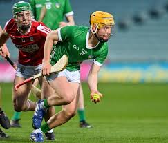 Image result for University Of Limerick Gaa Hurling Club