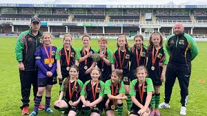 Image result for Bromyard Town Football Club Limited