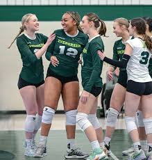 Image result for Evergreens Badminton Club