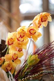 Image result for Heathervale Fc