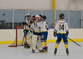 Image result for Team-Tigers Roller Hockey Club