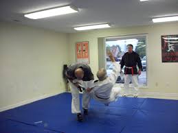 Image result for Komaru Ryu Small Circle Jujitsu/Karate