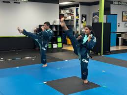 Image result for IXL Martial Arts