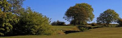 Image result for Vale Of Leven Golf Club