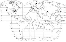 Attēlu rezultāti vaicājumam “Barbeyella minutissima”