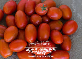 Afbeeldingsresultaat voor amish paste tomato
