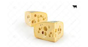 Image result for maasdammer