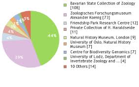 Attēlu rezultāti vaicājumam “Diphyus latebricola”