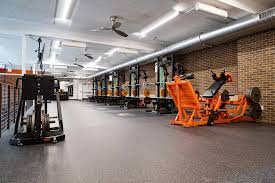 Image result for Angmering School Of Gym