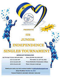 Image result for Pioneers Badminton Club