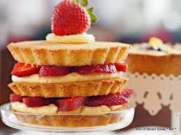 Image result for visitandines