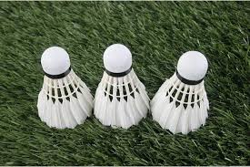 Image result for Lyc Badminton London Club Badminton Club