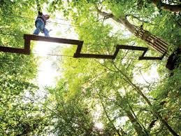 Image result for The Go Ape Experience (Delamere Forest)