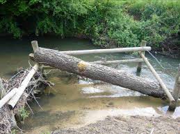 Image result for Bathampton Angling Association