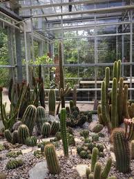 Image result for Arboretum Trompenburg