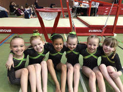 Image result for Wyre Forest School Of Gymnastics