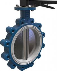 Картинки по запросу белку зажевало в диск