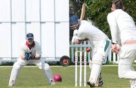Image result for Wembdon Cricket Club