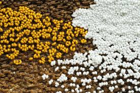 Attēlu rezultāti vaicājumam “Trichia varia”