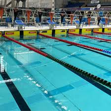 Image result for Stocksbridge Pentaqua Swimming Club