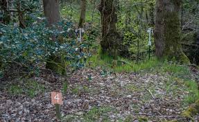 Image result for BLACKBURN RIFLE & PISTOL CLUB