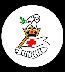 Image result for Newton - Le - Willows A R L F C