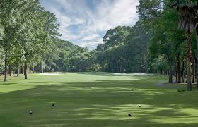 Image result for Dolphina Gc