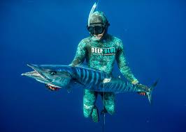 Image result for Deep Blue Diving