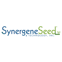 Synergene-Seed - Santa Maria Seeds