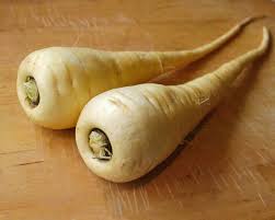 Attēlu rezultāti vaicājumam “Pastinaca sativa”