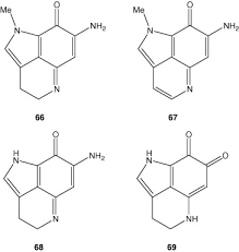 Attēlu rezultāti vaicājumam “Didymium bahiense”