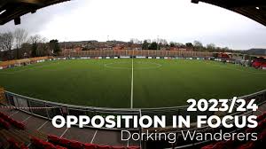 Image result for Dorking Wanderers F C