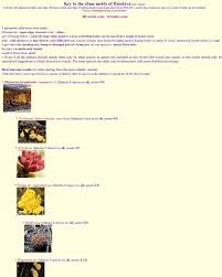 Attēlu rezultāti vaicājumam “Trichiaceae, Hemitrichiaceae, Arcyriaceae”