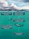 Barometric Pressure and Fishing | MidCurrent