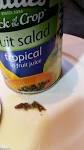 New Zealand mother finds dead gecko inside a can of Watties fruit.