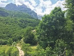 Attēlu rezultāti vaicājumam “Euphydryas maturna upperside”