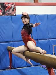 Image result for Focus Institute of Gymnastics