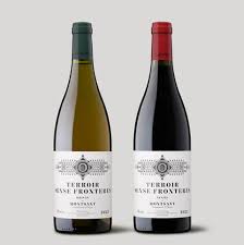 Image result for geografs sense fronteres