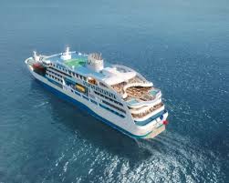 Attēlu rezultāti vaicājumam “Aranei exuvia”