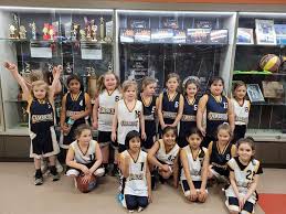 Image result for Cambridge Cats Basketball Club