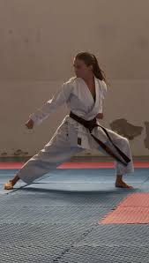 Image result for enpi dojo