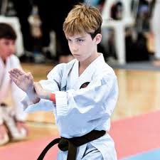 Image result for Springwood Karate