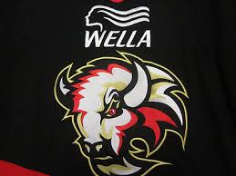 Image result for Basingstoke Buffalo