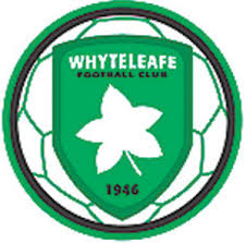 Image result for Whyteleafe Netball Club
