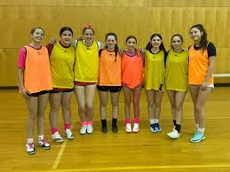 Image result for Pink Ladies Netball Club