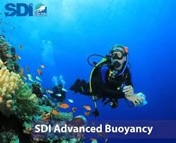 Image result for World Divers