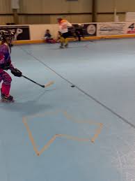 Image result for Dundee Ducks inline roller hockey club